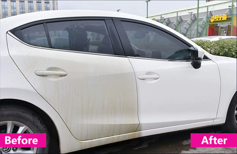 Image of Force Field by Ceramic King Shine Polish Protect Armor